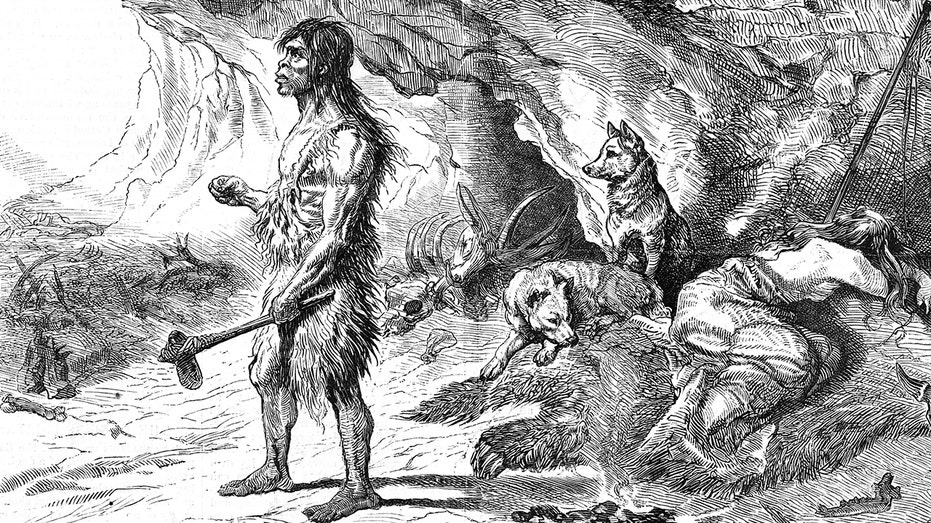 Dogs were 'loyal companions to Ice Age hunters' far earlier than believed, study finds Education VIC